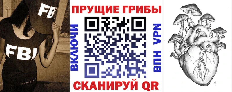 Галлюциногенные грибы Psilocybe  Долгопрудный 