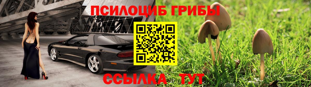 Галлюциногенные грибы MAGIC MUSHROOMS  Псилоцибиновые грибы Psilocybine cubensis  купить наркотики цена  Вход с VPN  Долгопрудный 