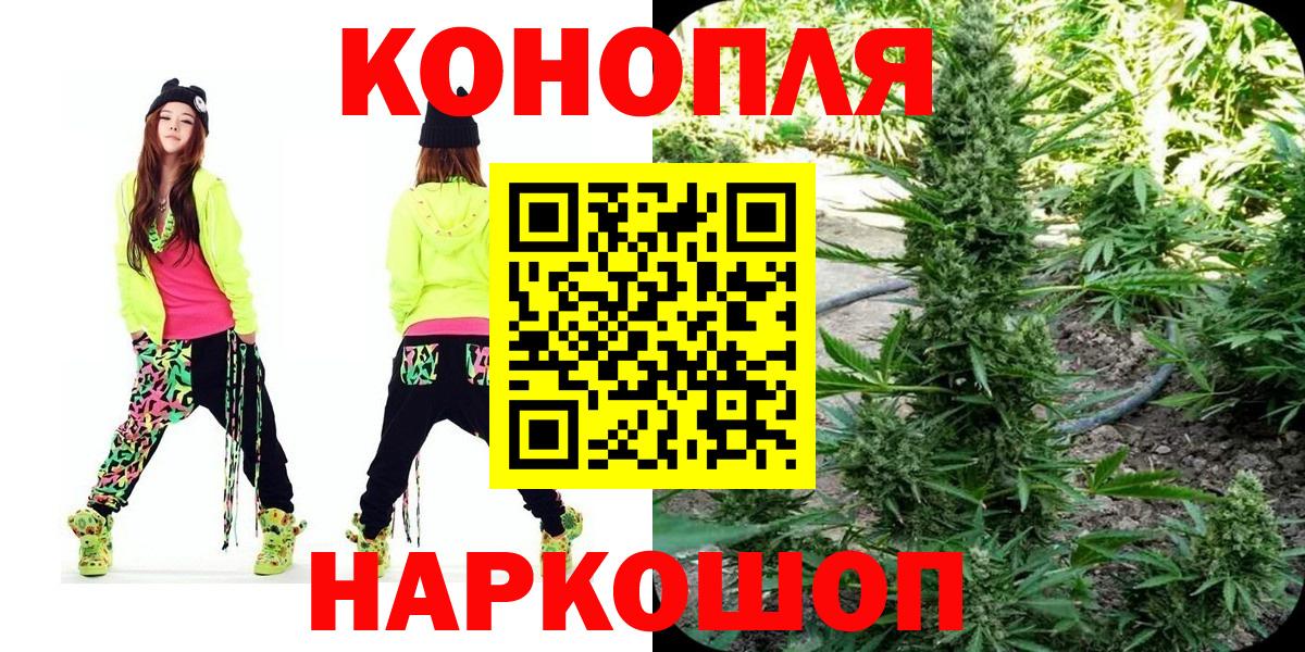 Бошки Шишки конопля Долгопрудный